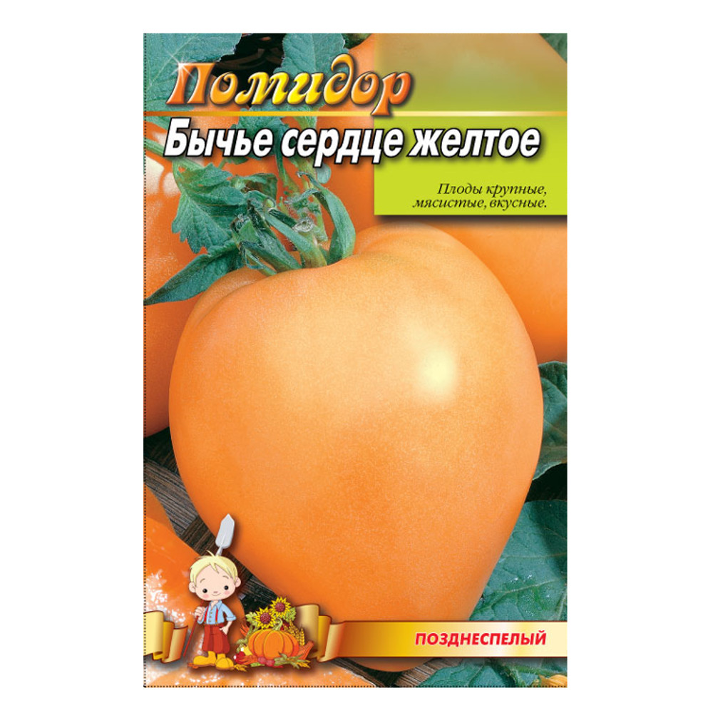 Томат Бичаче серце золотий пізньостиглий насіння, великий пакет 2 г