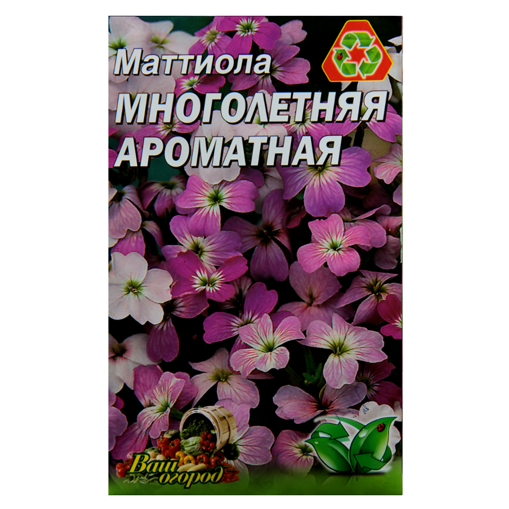 Матіола Багаторічна ароматна насіння квіти, великий пакет 5 г