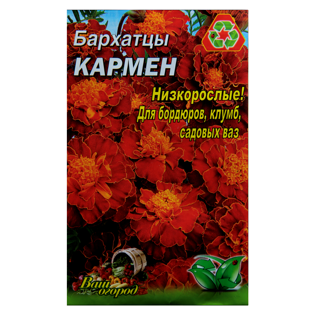 Чорнобривці низькорослі Кармен насіння квіти, великий пакет 3 г
