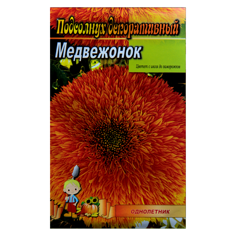 Соняшник декоративний Ведмедик насіння квіти, великий пакет 3 г