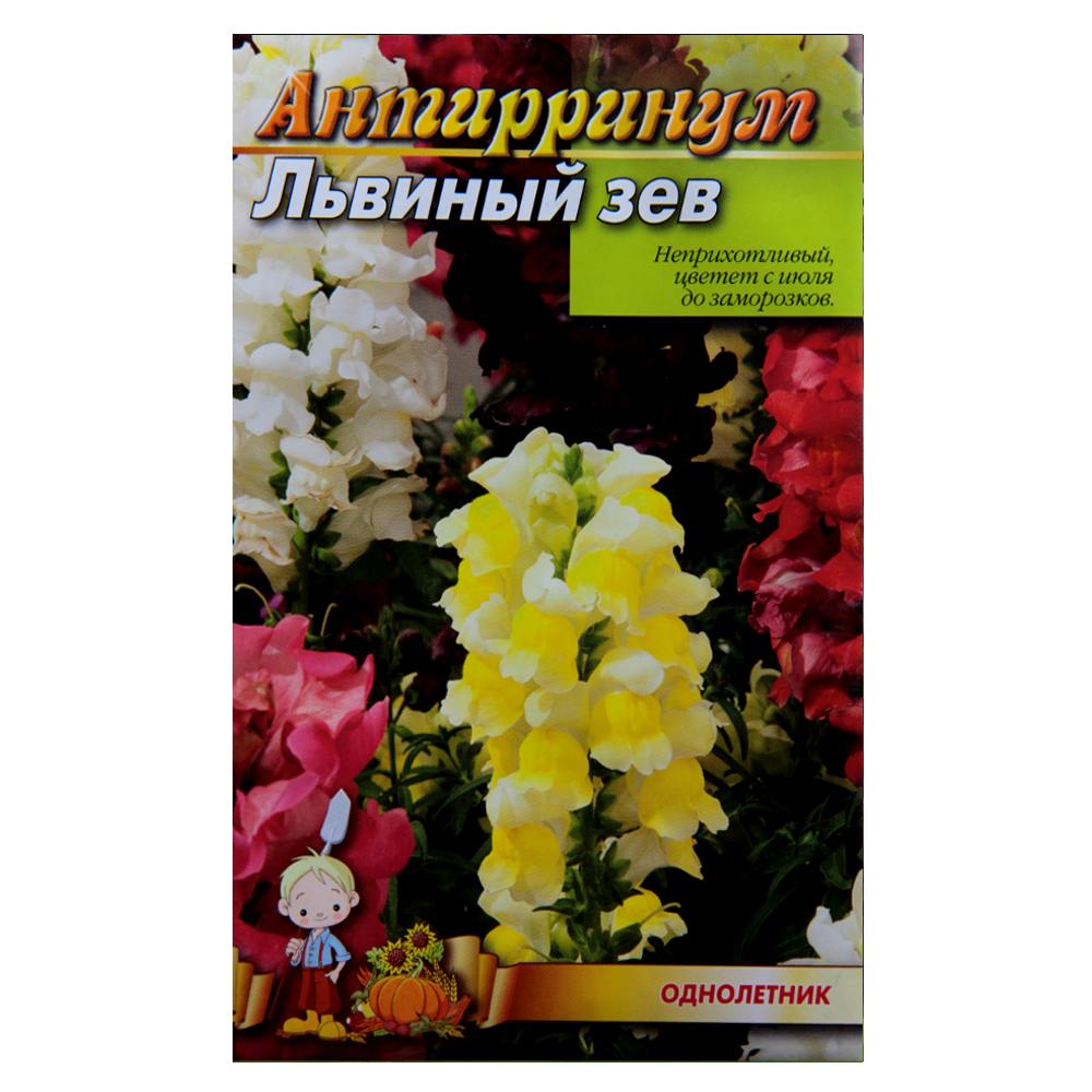 Антирринум Левиний зев насіння квіти, великий пакет 2 г