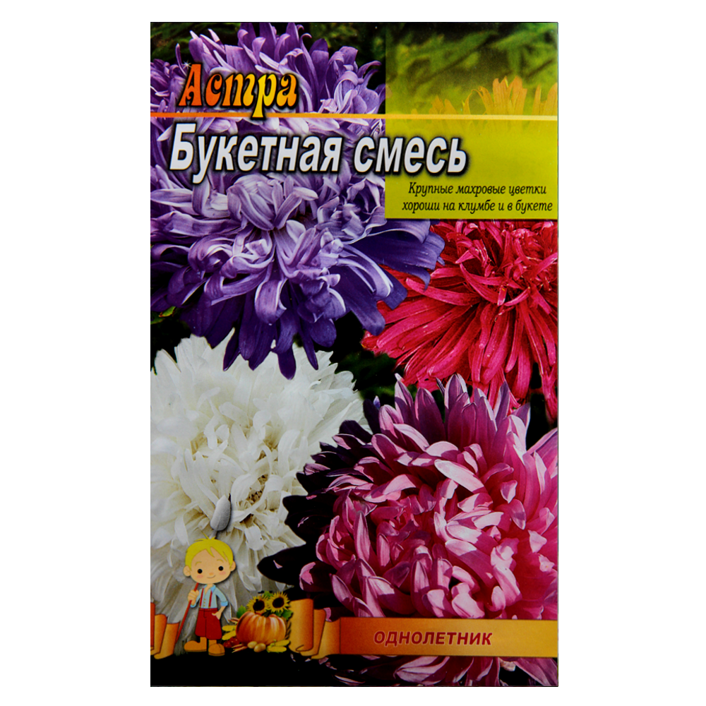 Айстра букетна суміш однолітник насіння квітів великий пакет 3 г, фото 1