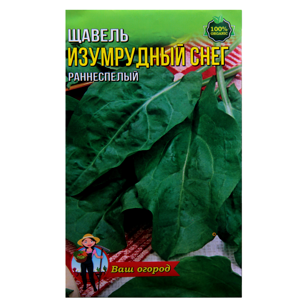Щавель Ізумрудний сніг насіння, великий пакет 10 г, фото 1