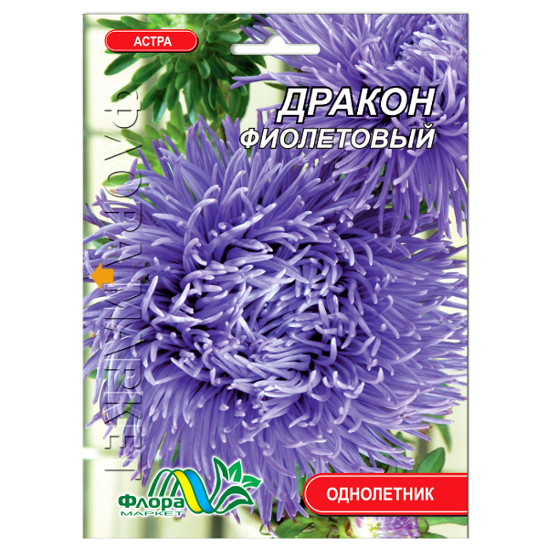 Астра Дракон фіолетовий насіння, великий пакет