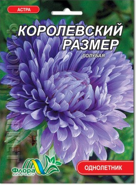 Астра Королівський розмір піоновідние блакитна насіння великий пакет