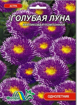 Айстра Блакитний місяць карликова помпона насіння великий пакет