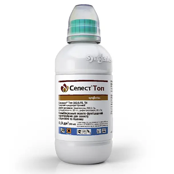 Протруйник Селест Топ 300 мл Syngenta