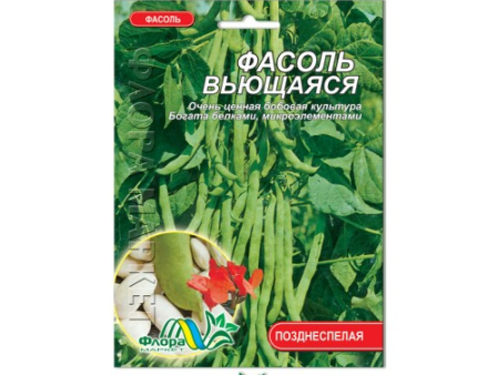Квасоля кучерява насіння, великий пакет 10 г