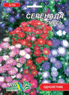Айстра Серенада карликова суміш насіння великий пакет