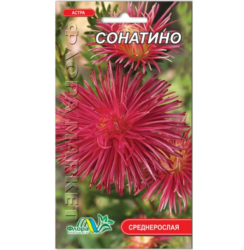 Айстра сонатина червона игольчатая низькоросла насіння 0.3 г