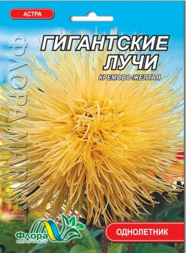 Айстра Гігантські промені голчаста кремово-жовта насіння великий пакет