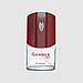 Туалетна вода для чоловіків Gamble red Intense TM Aromat 100 мл, фото 2
