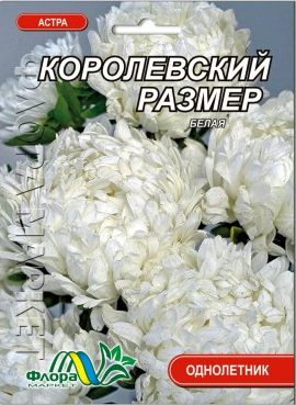 Айстра Королівський розмір піоновидна біла насіння великий пакет