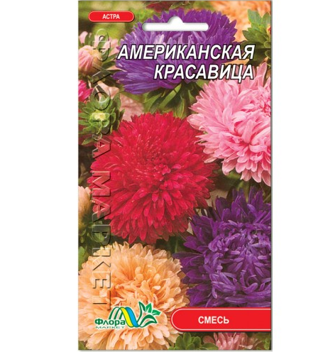 Айстра Американська красуня піоновідние суміш насіння 0.3 г