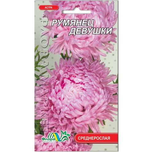 Айстра Рум'янець дівчата червона игольчатая насіння 0.3 г