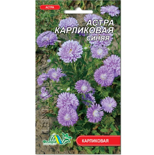 Айстра Карликова синя насіння 0.3 г