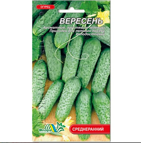 Насіння Огірок Вересень середньоранній1 г