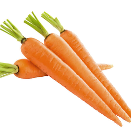 Семена моркови