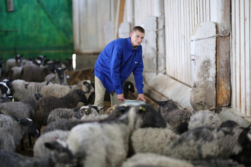 Продаж прибуткового бізнесу