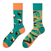 НОВИНКА! Супермодні та яскраві шкарпетки для дівчат. Різнопарні шкарпетки в одному стилі. Папуга.