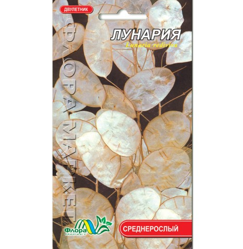 Лунарія, дворічна рослина, насіння квіти 0.3 г