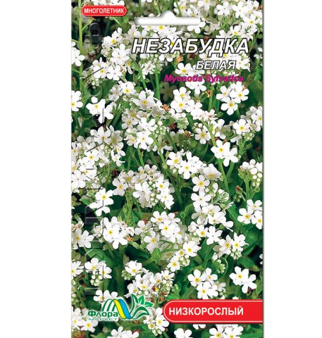 Незабудка біла, багаторічна рослина, насіння квіти 0.05 г, фото 1