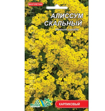 Аліссум скельний, багаторічний жовтий, насіння квіти 0.10 г
