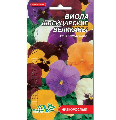 Віола Швейцарські велетні, дворічна рослина, насіння квіти 0.05 г