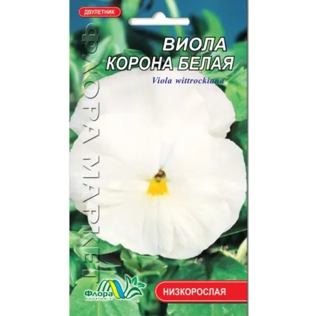 Віола Корона біла, дворічна рослина, насіння квіти 0.05 г
