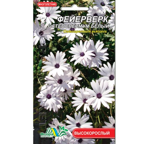 Остеоспермум білий Феєрверк, багаторічна рослина висотою 30-45 см, насіння квіти 0.1 г, фото 1