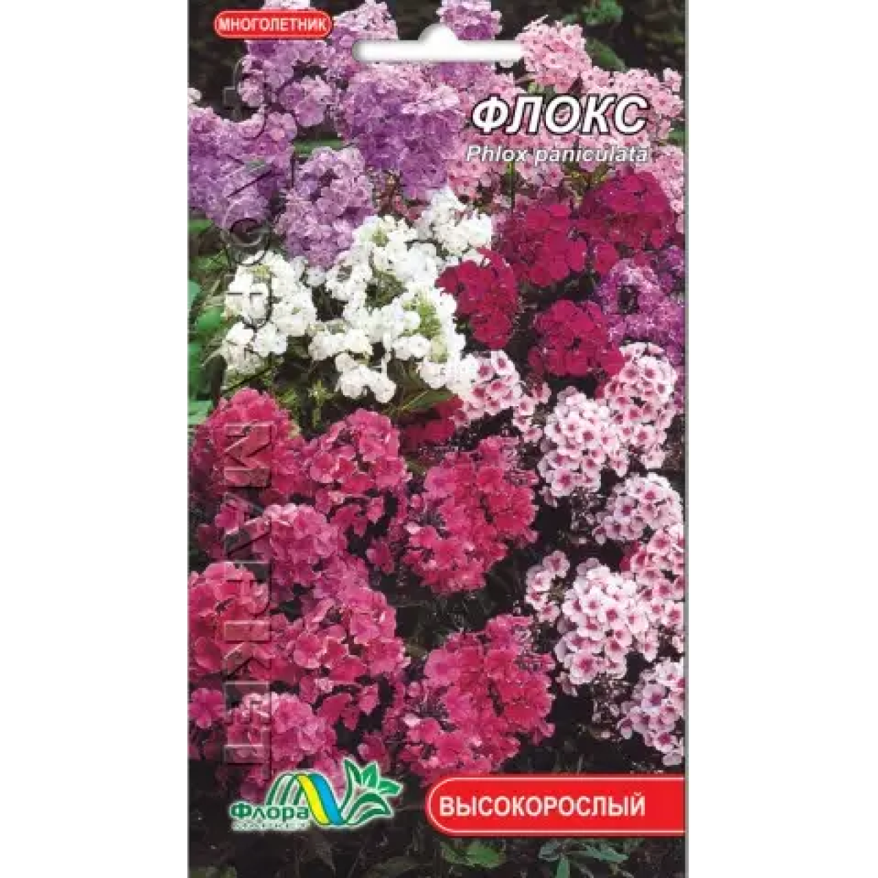 Флокс суміш, багаторічна рослина, насіння квіти 0.3 г