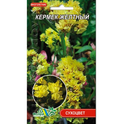 Кермек жовтий, сухоцвіт-багаторічник, насіння квіти 0.05 г