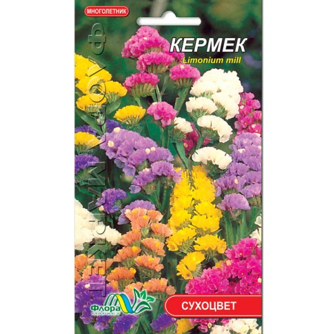 Кермек сухоцвіт суміш, багаторічна рослина, насіння квіти 0.15 г