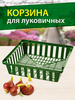 Кошик для посадки цибулинних 3.7 літра, 260х280х70 мм прямокутний