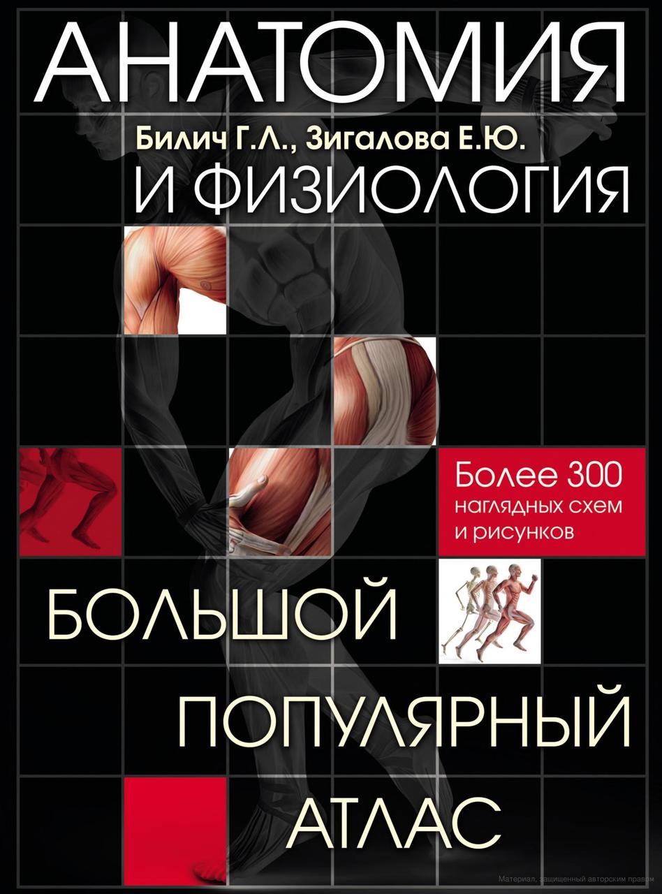 Анатомія та фізіологія. Великий популярний атлас. Габріель Білиц, Олена Зигалова