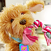 Інтерактивна іграшка цуценятко собачка My Fuzzy Friends Лабрадудель Moji з реалістичними рухами та сенсорами, фото 6