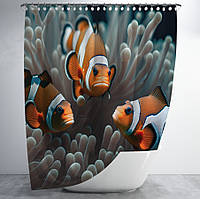 Штора для ванной с 3D принтом Рыбки клоун в кораллах _00