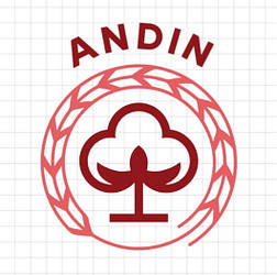 Andin