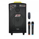 Портативна колонка Temeisheng QX-1214, Професійна активна акустична система, фото 6