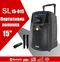 Temeisheng SL15-01S, два микрофона, 15" | Профессиональная активная акустическая система