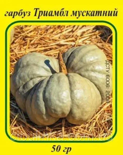 Насіння Гарбуз Тріамбл мускатний 50 г, фото 1