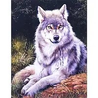 Алмазная вышивка волки Мозаика круглыми стразами Серый Волк 40х50 Рисование камнями на холсте GLE73772