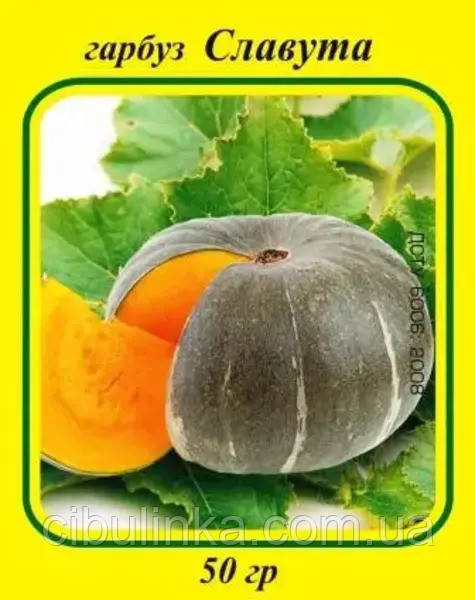 Насіння Гарбуз Славута 50 г, фото 1