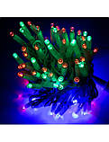 Світлодіодна гірлянда нитка вулична Led (2089) на 80 Bicolor світлодіодів електрична 1 режим 8 м на зеленому дроті Мультиколір, фото 3