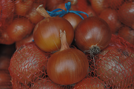 Цибуля ріпчаста LibraSeeds Хайденс F1 (насіння, 250 000 шт), фото 1