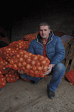 Цибуля ріпчаста LibraSeeds Хайденс F1 (насіння, 250 000 шт), фото 4