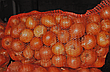 Цибуля ріпчаста LibraSeeds Хайденс F1 (насіння, 250 000 шт), фото 7