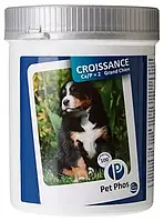 Витаминно-минеральный комплекс для собак крупных пород Ceva Pet Phos Croissance Ca/P2 Grand Chien 100 таблеток