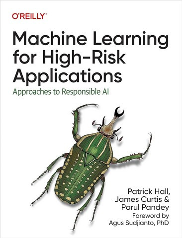 Machine Learning for High-Risk Applications: Approaches to Responsible AI 1st Edition. Patrick Hall, James Cur