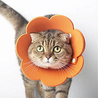 Воротник-ошейник "для заживления ран" для собак и кошек Orange Flower Size М